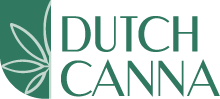 Dutch Canna