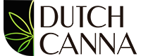 Dutch Canna