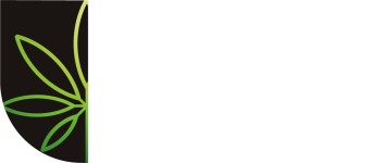 DC Logo Blanco@2x