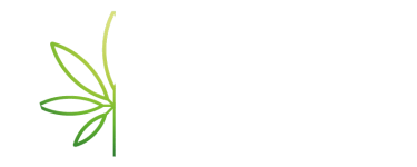 cropped-Logo-Web-DC.png